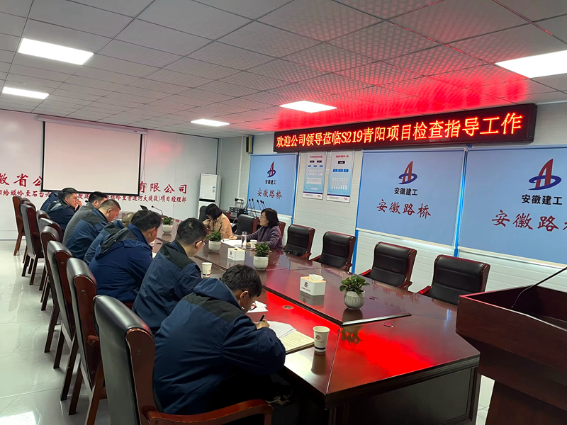 公司黨委委員、紀(jì)委書(shū)記王鵬到S219青陽(yáng)改建項(xiàng)目調(diào)研指導(dǎo)工作